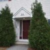 *Available 9/14/26* 203 Palm Street, Bangor (1 BR)