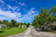 neighborhood_trees_alive_2MB